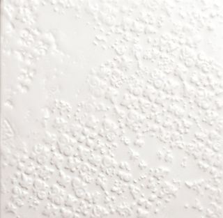 Quintessenza Bucchero настенная плитка Bianco matt 3 13.2*13.2