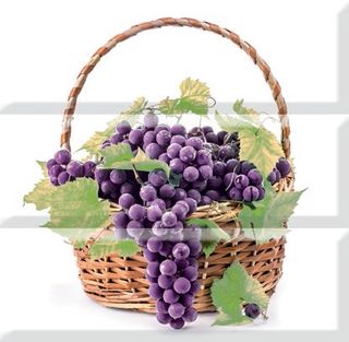 Absolut keramica Grapes панно Grapes 03 A Composicion 30*30