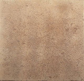 Exagres Vega клинкер Pav. Camel Antideslizante 33*33