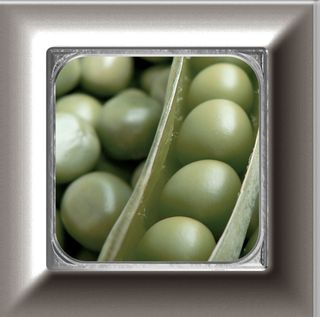 Absolut keramica Cube Kitchen декор Decor Mix 14 pz Cube Cold Kitchen 10*10