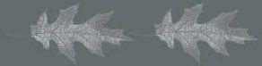 Edilcuoghi Lame бордюр SP 33017 Feuille 60*15
