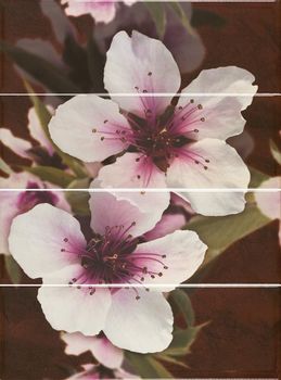 Carmen ceramic art Montecarlo панно Decor Set Virginie Lava 60*80