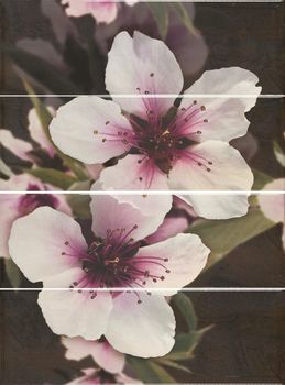 Carmen ceramic art Montecarlo панно Decor Set Virginie Vulcano 60*80