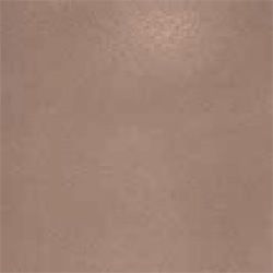 Edilcuoghi New light напольная плитка Cannella Pav. 32*32