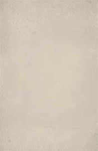Edilcuoghi New light настенная плитка Avorio 32*49