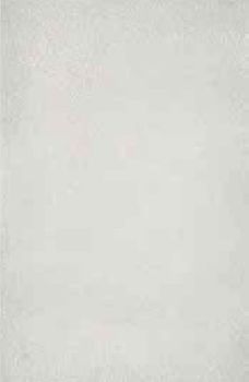 Edilcuoghi New light настенная плитка Bianco 32*49