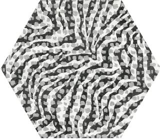 Cir & Serenissima Docklands Inserto Zebra S/1 Hexagon