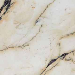 Rex I Bianchi керамогранит Paonazzetto Nat 726787 60*60*1