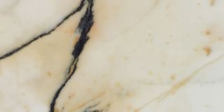 Rex I Bianchi керамогранит Paonazzetto Nat 727611 60*30*1