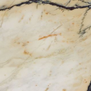 Rex I Bianchi керамогранит Paonazzetto Nat 726836 45*45*1