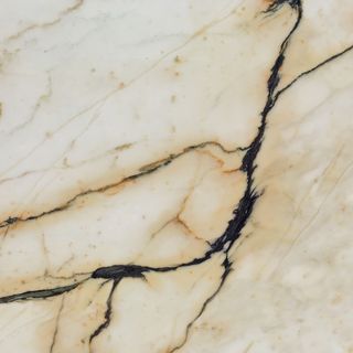 Rex I Bianchi керамогранит Paonazzetto Luc 734745 80*80*1