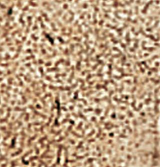 Вставка Broccaro 5BFC177 7.3*7.3