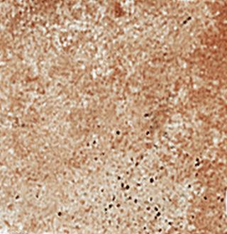 Вставка Buceto 5BFC210 10*10