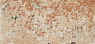 Бордюр Buceto 5BFC271 15*7.3