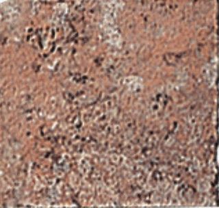 Вставка Sparagaia 5BFC777 7.3*7.3