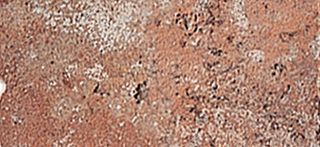 Бордюр Sparagaia 5BFC771 15*7.3