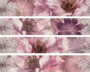 Azulejos alcor Valpolicella бордюр Cnf. Bouquet Lavanda R160 25*4.8