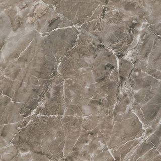 Gardenia (Versace) Marble напольная плитка Grigio onice Lap 240016 58.5*58.5