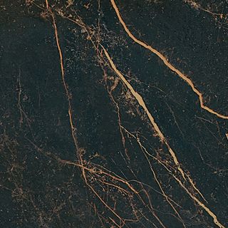 Gardenia (Versace) Marble напольная плитка Nero St.Laurent Lap 240013 58.5*58.5