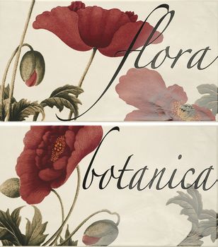 Naxos Euphoria декор Fascia Papavero  25*45