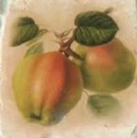 A.L.CO Ceramiche Marmi Italiani Inserto Botticino Frutta C