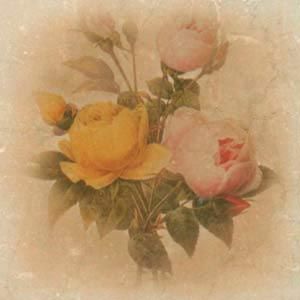 A.L.CO Ceramiche Marmi Italiani декор Inserto Botticino Fiore 20*20