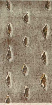 Venus Petrified forest напольная плитка Gold blue 7*14