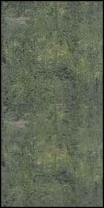 RAK Ceramics 30х60 напольная плитка 9GPD-5  30*60