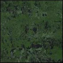 RAK Ceramics 40Х40 напольная плитка GPD-5 40*40