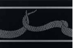 Petracers Gran Gala декор Serpente E - Nero 31.5*21