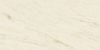 Напольная плитка Cremo Delicato 120*278