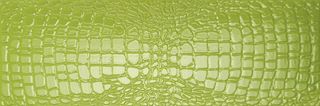 Settecento Crocotile декор Green Crocojoy 72*24