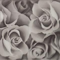 Settecento Sarawak декор Decoro Rosebed Ivory 24*24