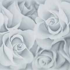 Settecento Sarawak декор Decoro Rosebed Mist 24*24