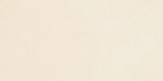 FMG STYLE Roads керамогранит White Purity Matt 75*37.5*6