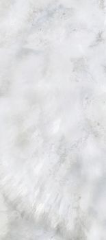 Roberto Cavalli Brightpearl керамогранит Snow Ret. 80*180