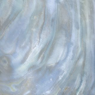 Roberto Cavalli Brightpearl керамогранит Rainbow Ret. 80*80