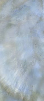 Roberto Cavalli Brightpearl керамогранит Rainbow Ret. 80*180