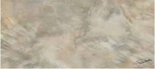 Roberto Cavalli Brightpearl декор Bronze Frima Rett. 80*180