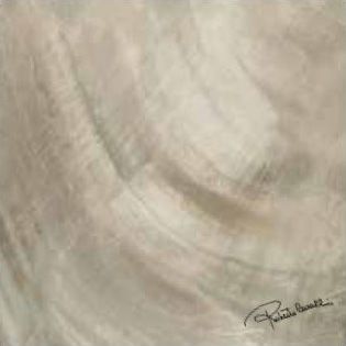 Roberto Cavalli Brightpearl декор Bronze Frima Rett. 80*80