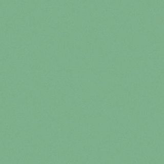 Напольная плитка Kiwi 20*20