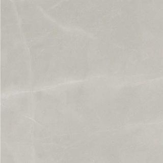 Pastorelli Elite напольная плитка Pulpis Nat. 80*80