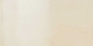 Pastorelli Elite настенная плитка Segesta  80*40