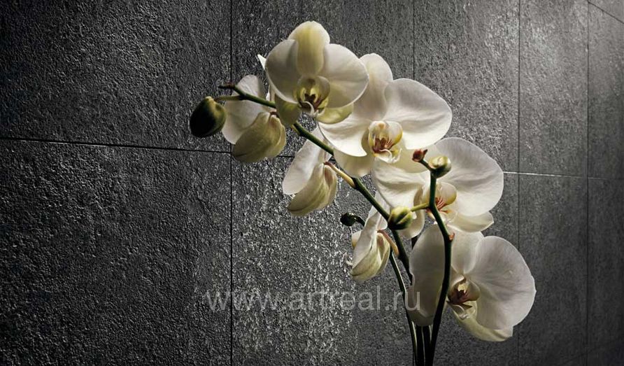 Керамогранит Gardenia (Versace) Palace Stone в интерьере