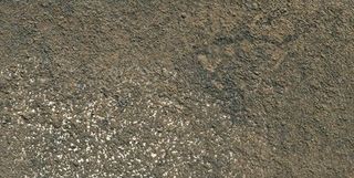 Gardenia (Versace) Palace Stone керамогранит Nero Lap 39.4*19.7