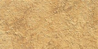 Gardenia (Versace) Palace Stone керамогранит Oro Nat 39.4*19.7