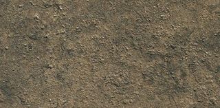 Gardenia (Versace) Palace Stone керамогранит Nero Nat 39.4*19.7