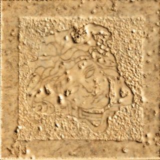 Gardenia (Versace) Palace Stone вставка Oro Tozzetti Medusa Levigati 9.8*9.8