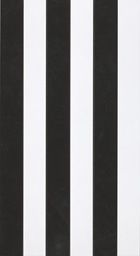 Декор Righe Bianco/Nero Inserto RT 30.5*56