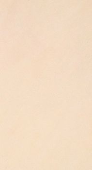 Настенная плитка Rosa Delicato RT 30.5*56